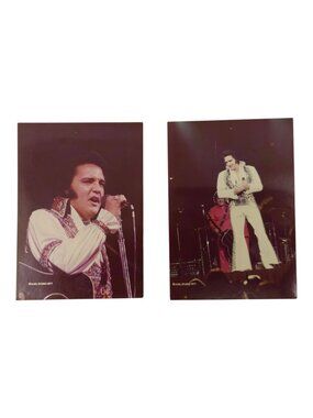 Elvis Presley 3.5 x 5 Totem Pole Gypsy Phoenix Concert Photos 1977 Axel Studio